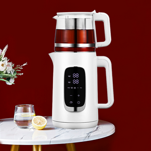 Novum Innovative 1.5l Et 1.1l Duplex Pot Maximum Capacity Vitri Ahenum Aqua Boiler Electric Tea Pot Boiler 