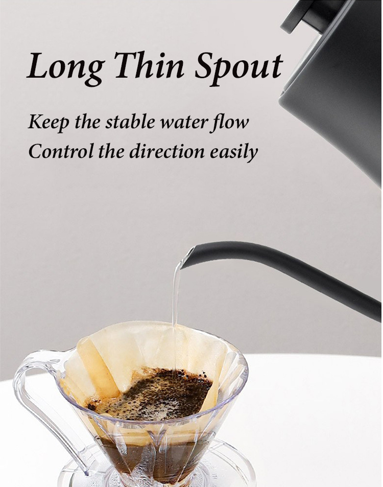 Longa tenuis Spout